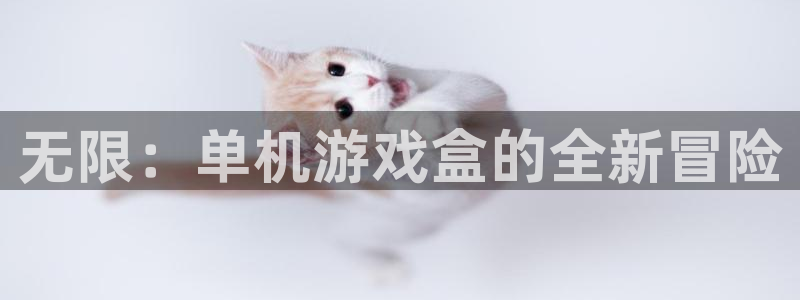 沐鸣2登陆：无限：单机游戏盒的全新冒险