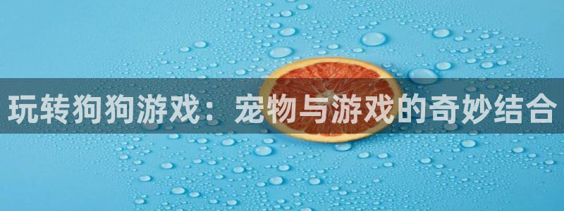 沐鸣2app官方下载最新版本功能介绍：玩转狗狗游戏：宠物与游