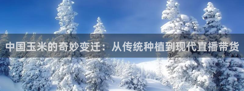 熊猫体育足球直播在线观看：中国玉米的奇妙变迁：从传统种植到现代直播带货