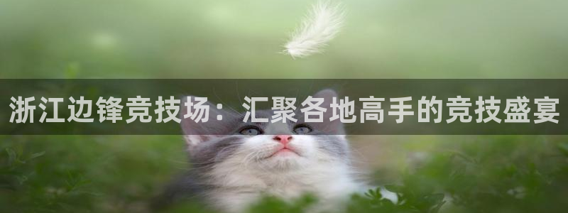 沐鸣2娱乐官网在线登录：浙江边锋竞技场：汇聚各地高手的竞技盛