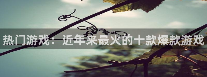 沐鸣2官网平台：热门游戏：近年来最火的十款爆款游戏