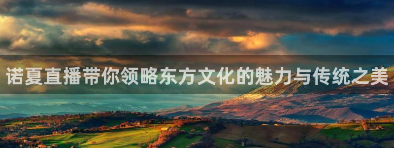 看直播熊猫：诺夏直播带你领略东方文化的魅力与传统之美