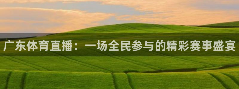 下载熊猫直播：广东体育直播：一场全民参与的精彩赛事盛宴
